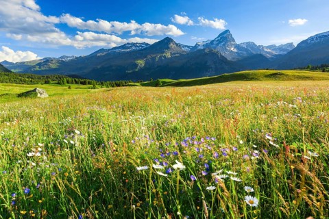 Alp Flix, Switzerland, Europe