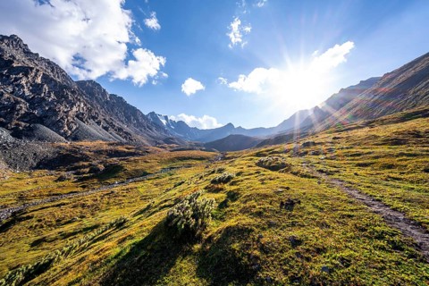 Hiking trail, green high valley in atmospheric light, Keldike Valley on the way to the Ala Kul