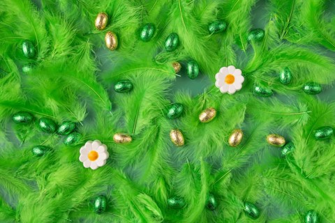 Spring-like background with green feathers, chocolate eggs and two flowers