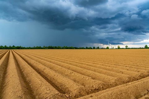 Dark rain clouds, thunderclouds over a potato field, near Grevenbroich, North Rhine-Westphalia,
