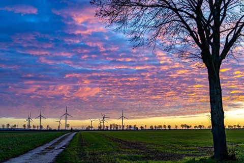 Wind farm near Holzweiler, town of Erkelenz, wind power plants, North Rhine-Westphalia, Germany,