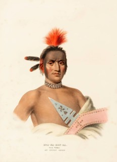 Moa-Na-Hon-Ga. Great Walker. An Ioway Chief (ca. 1837-1844) (1), Indians, Historical Indian tribes