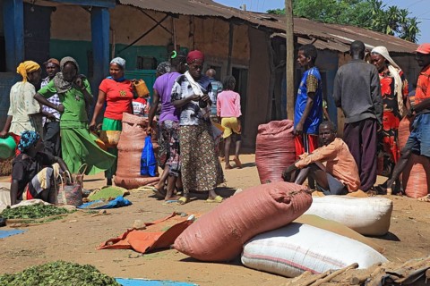 South Ethiopia, market in Jinka, trade with hop leaves, market scene, Ethiopia, Africa