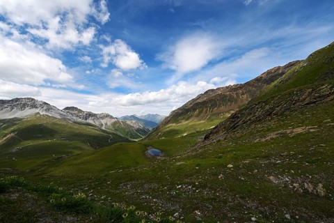 Panoramic view of mountains in summer, Stelvio pass, Stelvio National Park, Stelvio, South Tyrol,