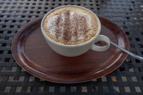 Cappuccino with cocoa powder, Bavaria, Germany, Europe