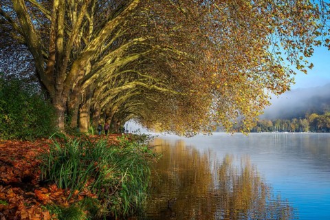 Essen, North Rhine-Westphalia, Germany, Golden autumn at Lake Baldeney. Walkers in the morning sun