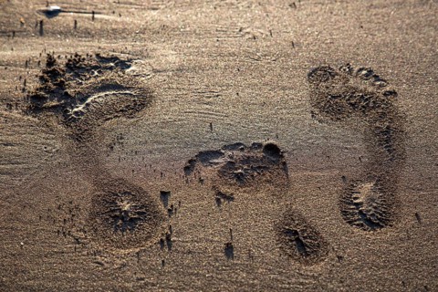 Imprint in the sand by the feet of the family with mother, father and child
