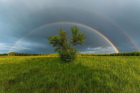Appearance of a double rainbow in front of a late afternoon storm. Alsace, France, Europe