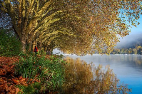 Essen, North Rhine-Westphalia, Germany, Golden autumn at Lake Baldeney. Walkers in the morning sun