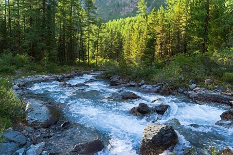 Altai Mountains. The river Esthtykol. August. Siberia, Russia, Europe