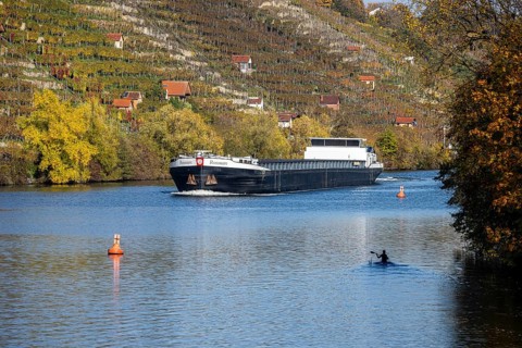 Barge RESONARE underway on the Neckar, vineyards in autumn. The barge has an overall length of 105