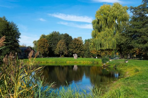 A quiet pond surrounded by green trees under a blue sky, Magdeburgerforth, Jerichower Land,