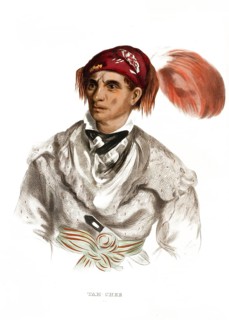 American Indian, Native American, Tah-Chee, Chief of the Cherokee tribe, United States of America,