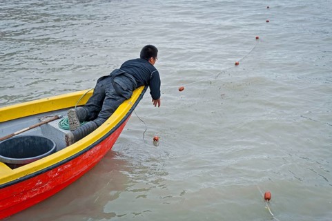 Inuit hunter sets a net, near the Inuit settlement Tiniteqilaaq or Greenlandic Tiilerilaaq,