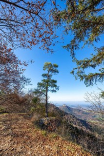 View from the Trauffelsen viewpoint to Hohenzollern Castle, Onstmettingen, Albtrauf,