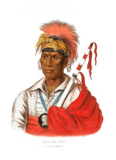 American Indian, Native American, Teh-Ro-Hon, warrior of the Ioway tribe, United States of America,