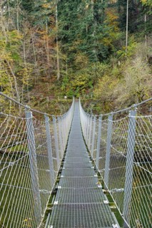 A pedestrian suspension bridge opened in 2019 crosses the Danube in Inzigkofen Princely Park,