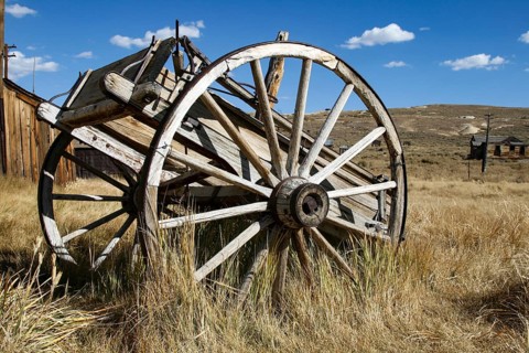 Remains of a horse and cart from the time of the settlers