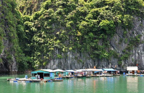 Floating fishing village in the Gulf of Tonkin at Halong Bay, Vietnam, Asia