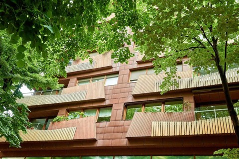 Eco-friendly building in the city. Green tree branches with leaves and sustainable glass building