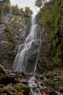 Waterfall in the forest, Burgbach waterfall near Schapbach, Black Forest, Baden-Wurttemberg,