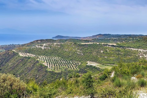 Hilly landscape on the Kassandra peninsula, Chalkidiki, Greece, Europe