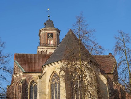 Church with steeple and branching tree in the foreground, coesfeld, münsterland, germany