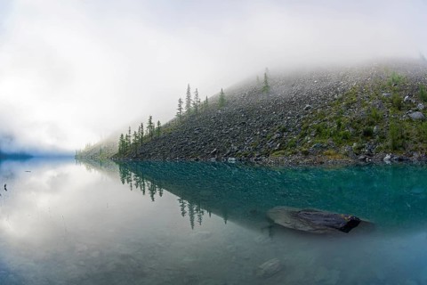 Reflection of the shore of the lake in the watery surface. A misty summer morning. The large