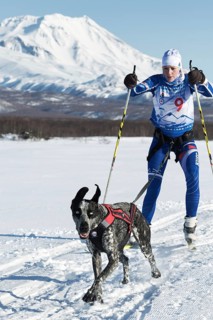 PETROPAVLOVSK, KAMCHATKA, RUSSIA, DEC 10, 2016: Skijor races, competition for Cup of Kamchatka