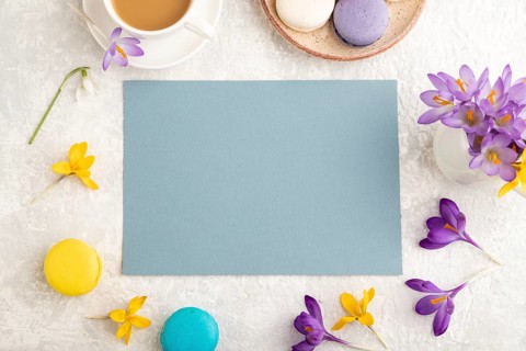 Blue paper sheet mockup with spring snowdrop crocus flowers and multicolored macaroons on gray