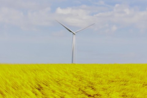 A wind turbine in a rapeseed field, photographed in Vierkirchen, 12/04/2024