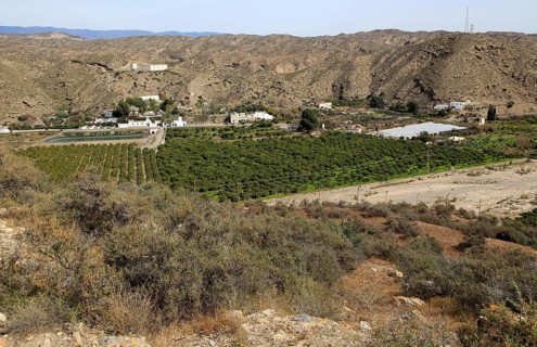 Fruit farming in River Andarax valley viewed from Los Millares prehistoric settlement, near Gador,