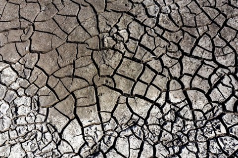 The bottom of a dried-up fish pond in Reckahn in Brandenburg looks like parched desert soil. The