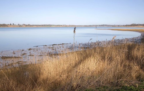 Low tide with exposed sand and mudflats, River Deben, Sutton, Suffolk, England, United Kingdom,