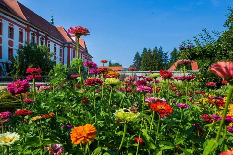 The Cistercian monastery of St Marienstern (sorb. Marijina Hwezda) is located on the Klosterwasser