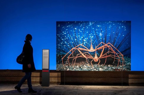 Plante Ozean exhibition in the Gasometer in Oberhausen, the world's oceans in their fragile beauty