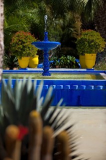 Fountain with water basin in the Majorelle Garden, botany, water, pond, flora, plant, botany,