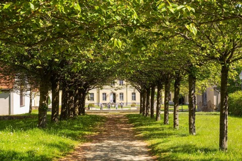The baroque Königshain Castle is one of the two castles in the East Saxon municipality of