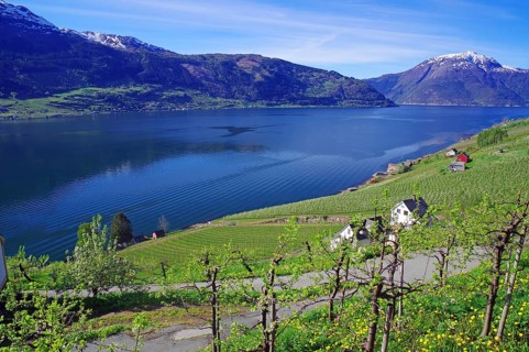 Vast landscape with fjord, green hills and snow-capped mountains under a blue sky, spring,