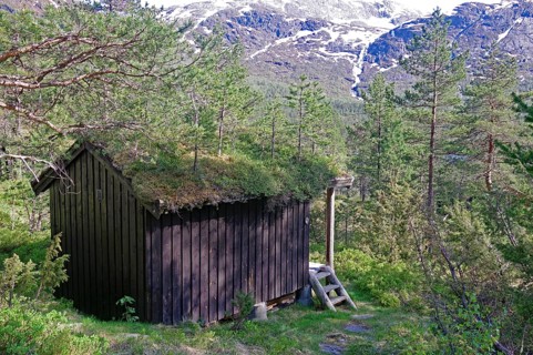 Rustic wooden hut in the middle of a green forest with mountains in the background, typical holiday