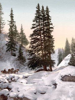 Davos, in winter, Graubuenden, Switzerland, Historical, digitally restored reproduction from a 19th