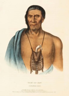 Tish-Co-Han. A Delaware Chief (1837), Native American, Historical Indian Tribes of North America,