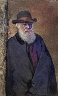 Charles Darwin, 1809, 1882, British naturalist. After a photograph (1881) by Mr Elliott and Mr Fry,