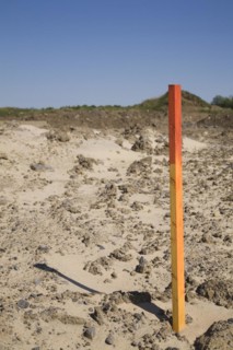 Red and orange painted wooden surveyor's stake or marker in sandy soil indicating a boundary line