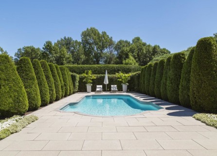 In-ground swimming pool and lounge chairs with parasol, planters bordered by rows of Thuja
