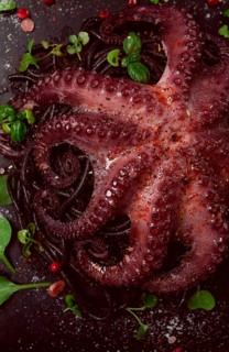 Octopus with black spaghetti, pasta, spices and herbs, top view, no people