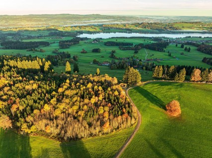 Mountain range near village Wertach, view to lake Rottachsee, aerial view, autumn colors, sunrise,