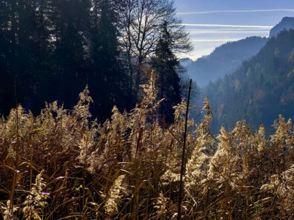 Autumn atmosphere at Hechtsee lake near Kufstein, Tyrol, Austria, Europe