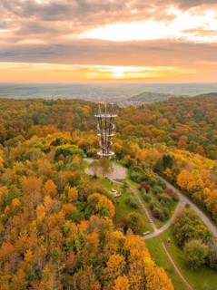 Observation tower in an autumnal forest landscape at sunset with colourful foliage and paths,