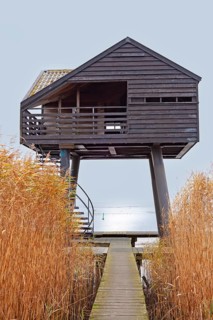 Low tide, reeds, mudflats, observation point Kiekkaaste, Dollart, Nieuwe Statenzijl, Netherlands